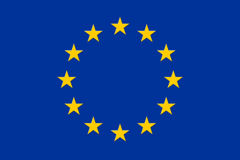EU Logo